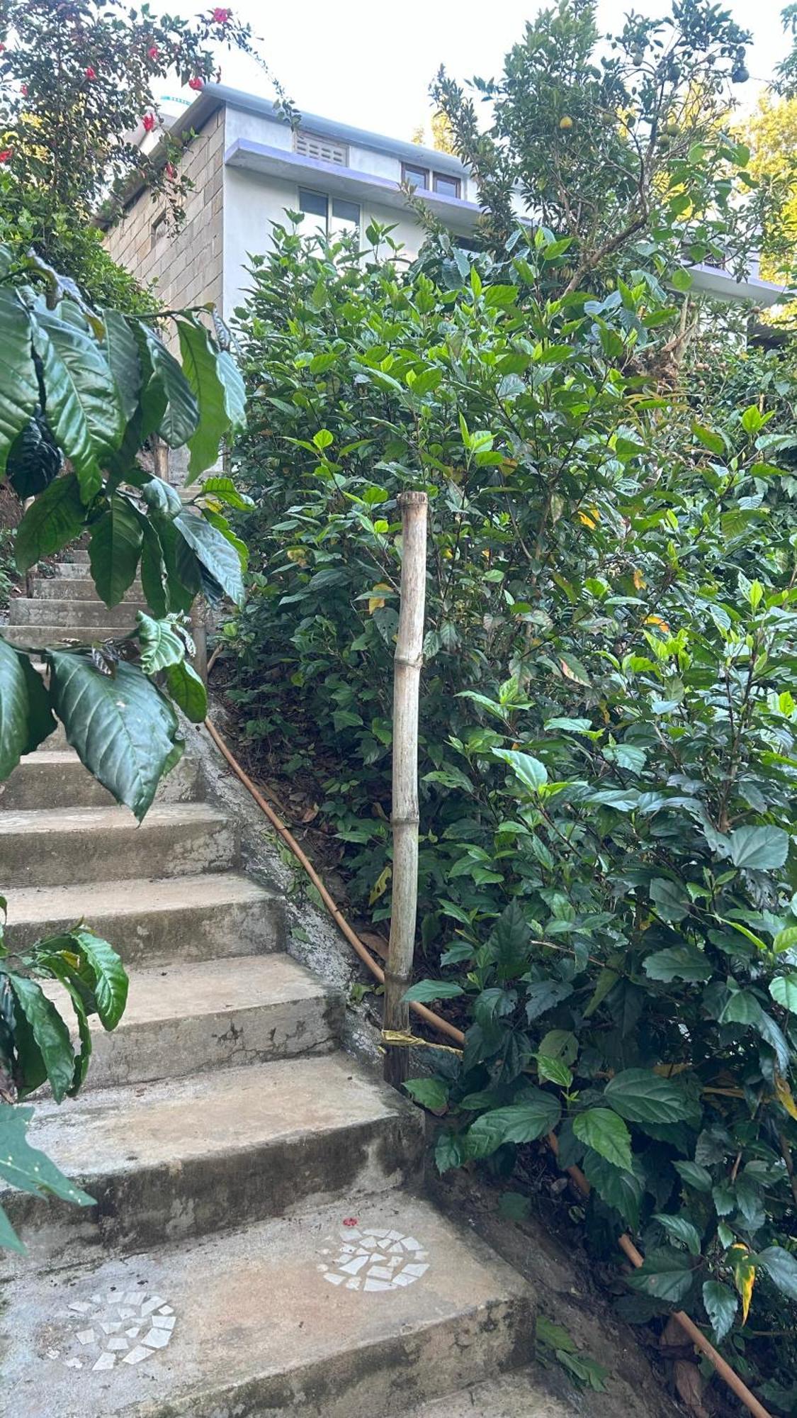 Doddakallu Betta Homestay Coorg Somvārpet Exteriör bild