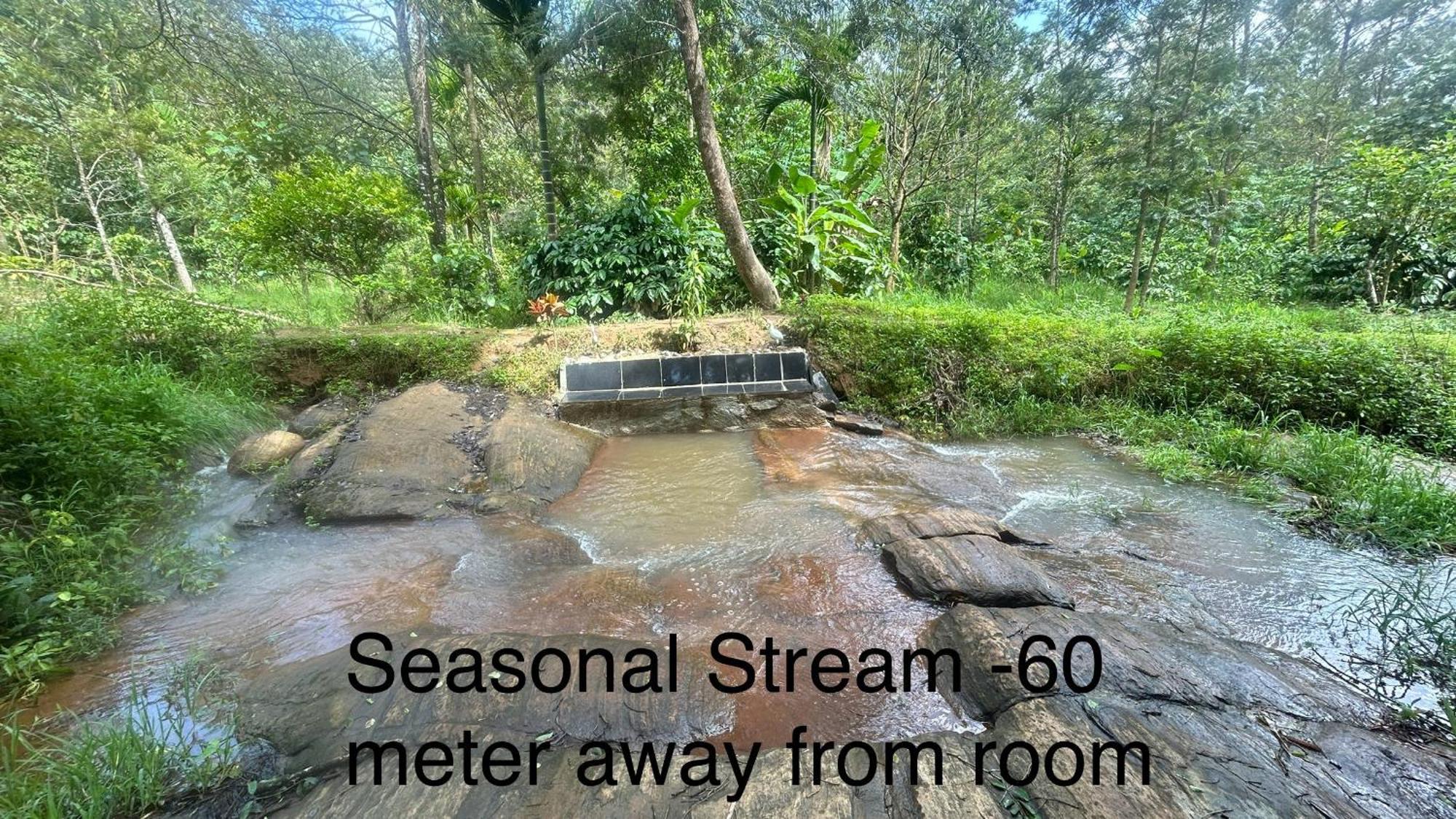 Doddakallu Betta Homestay Coorg Somvārpet Exteriör bild