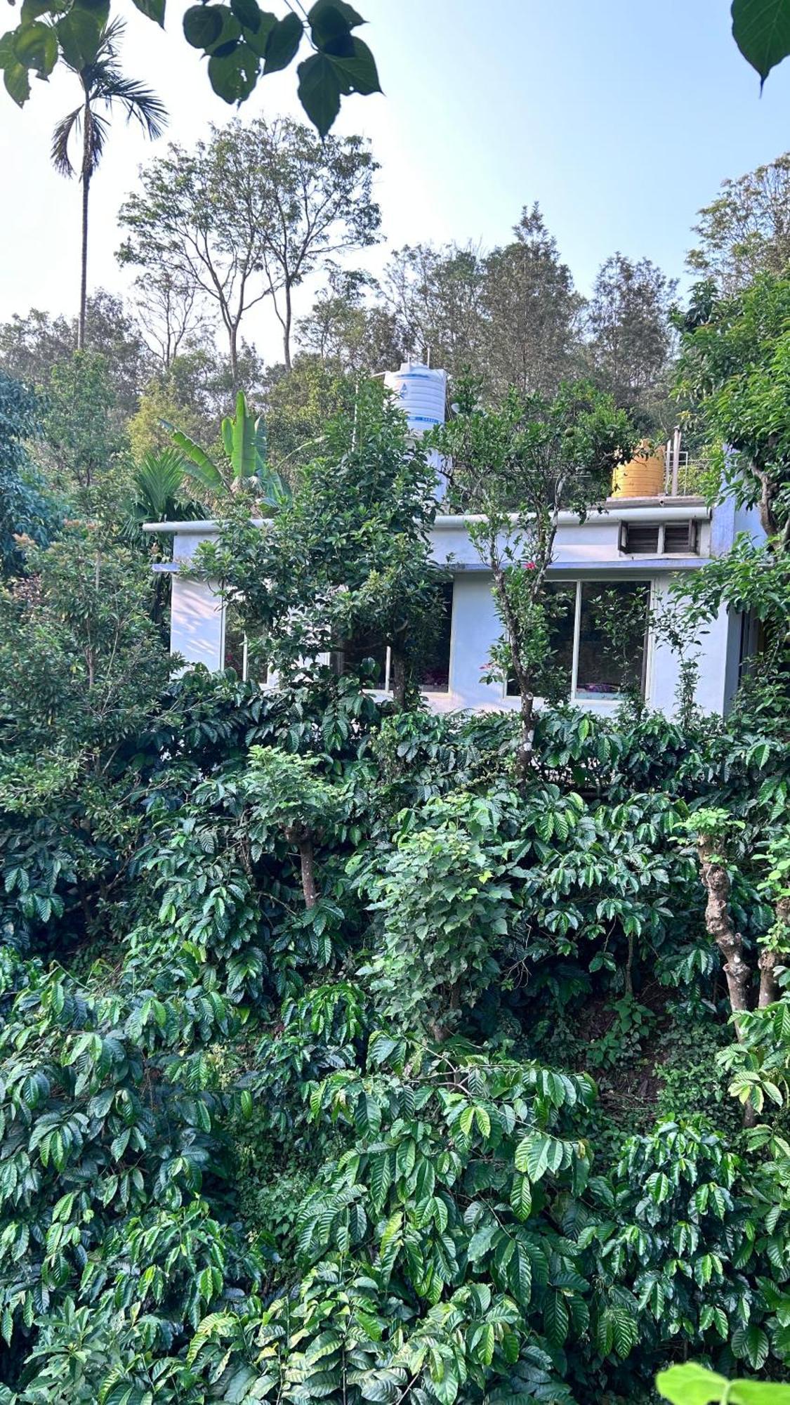 Doddakallu Betta Homestay Coorg Somvārpet Exteriör bild