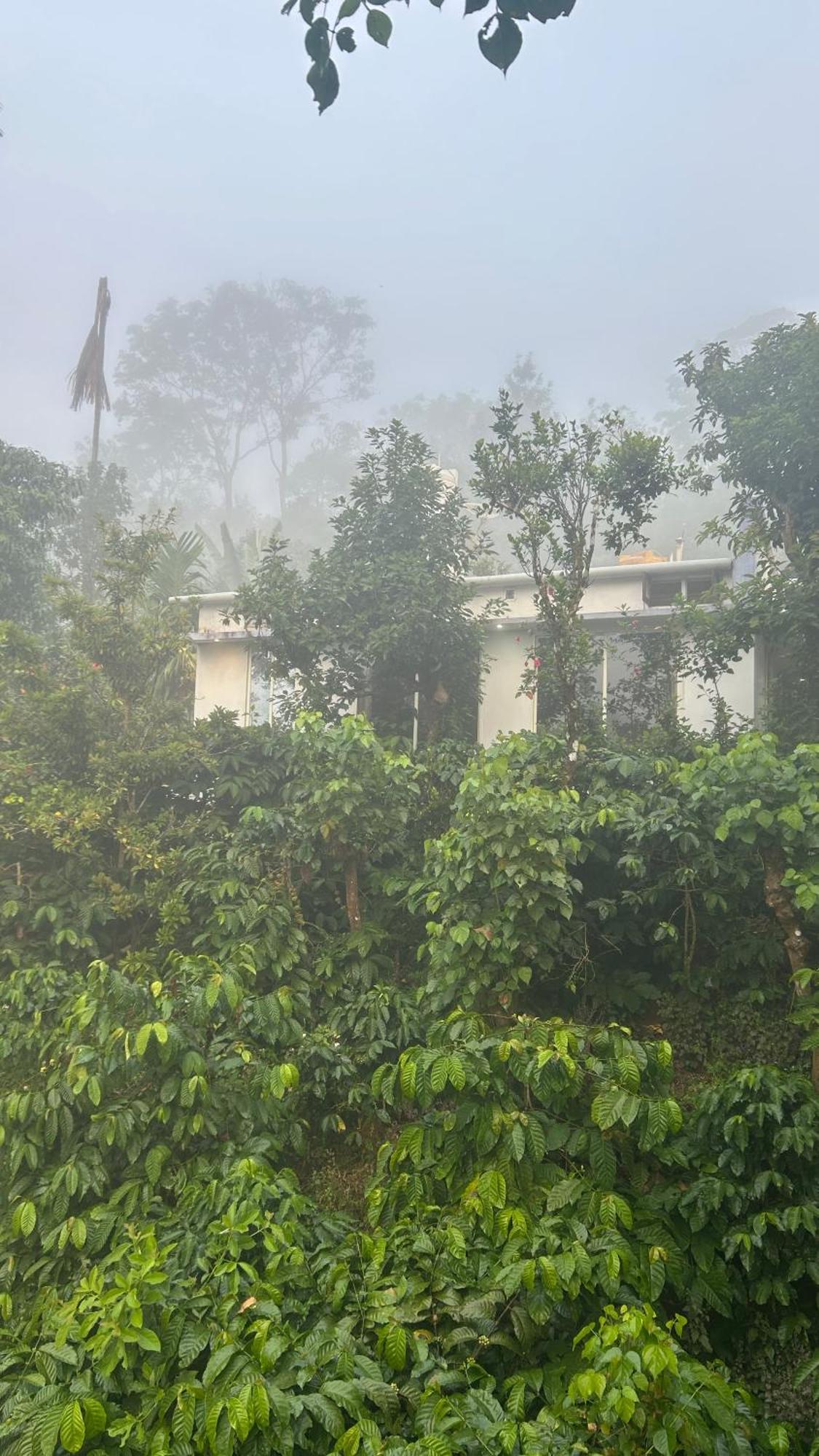 Doddakallu Betta Homestay Coorg Somvārpet Exteriör bild